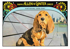 2022 Topps Allen & Ginter #337 Juan Gonzalez